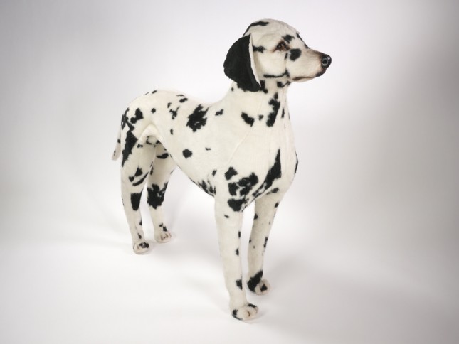 Dalmatian 3240 by Piutrè 