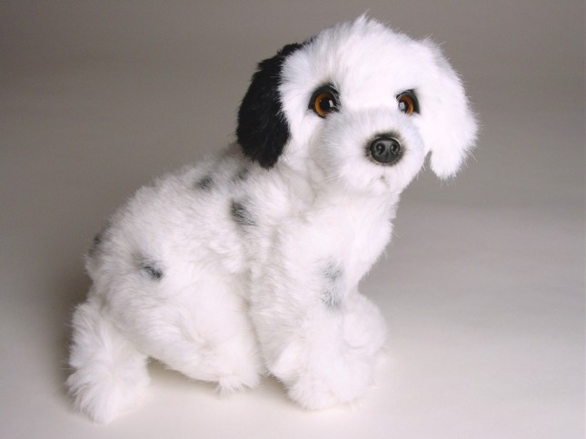 Dalmatian Puppy 1313 by Piutrè