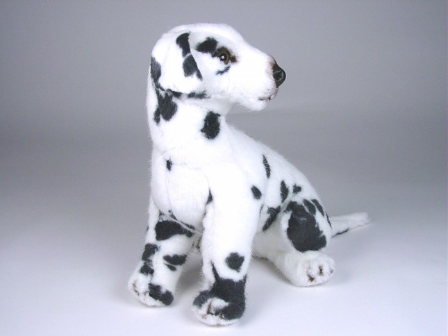 Dalmatian Puppy 3243 by Piutrè 