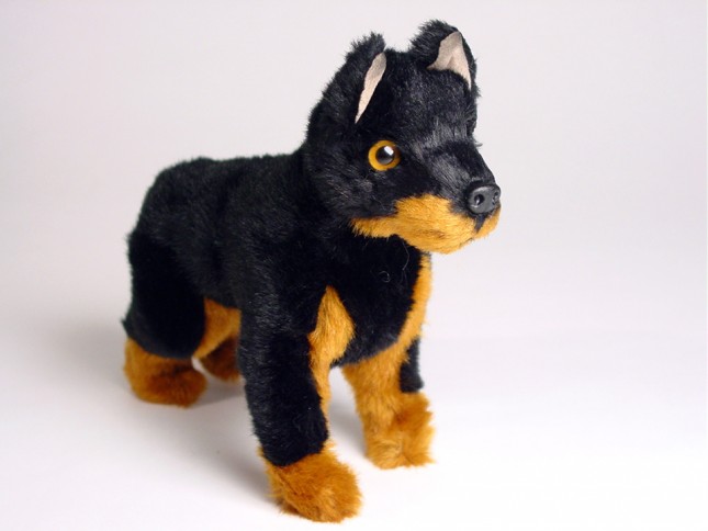 Doberman Pinscher (Miniature) 4288 by Piutrè 
