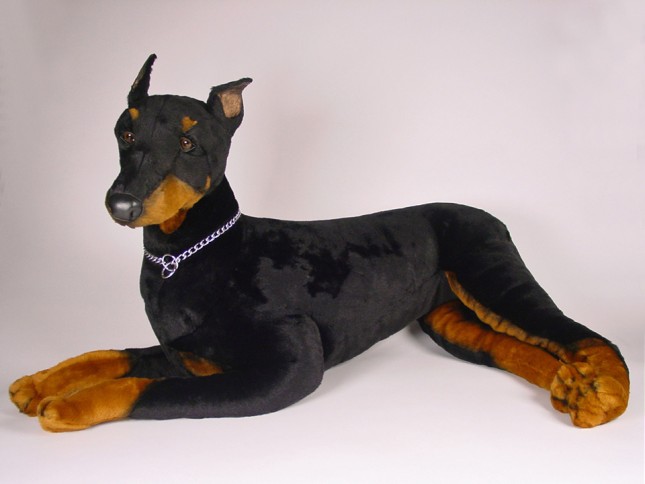 Doberman Pinscher 0264 by Piutrè 