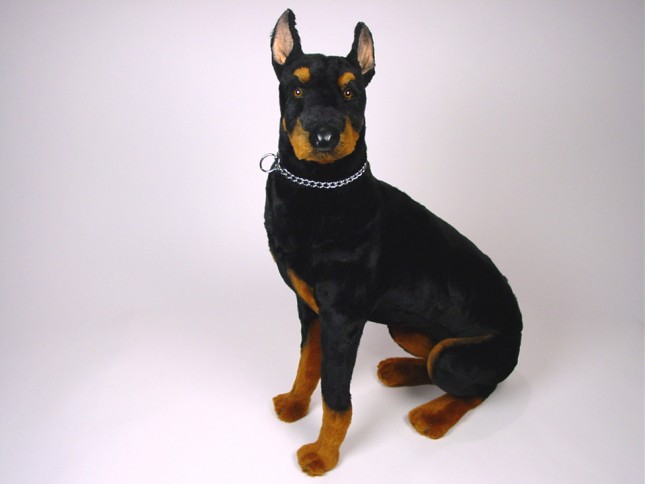 Doberman Pinscher 0270 by Piutrè
