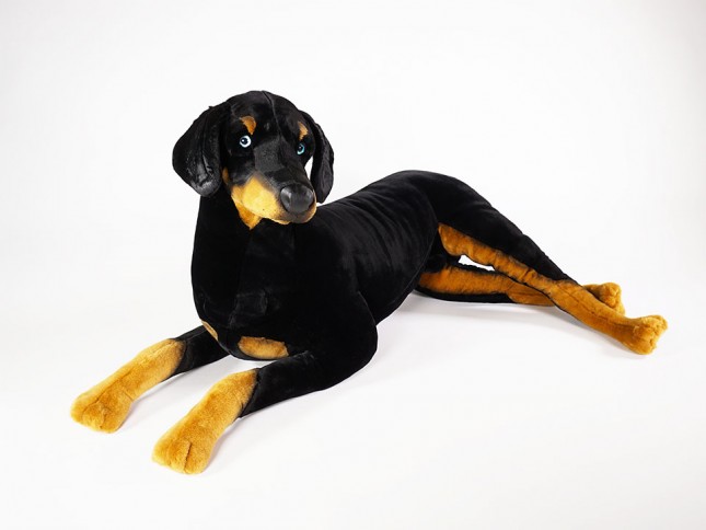 Doberman Pinscher 5250 by Piutrè 
