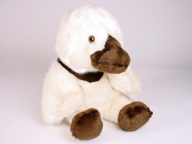 Duckling (Morbidone) 2634 by Piutrè 