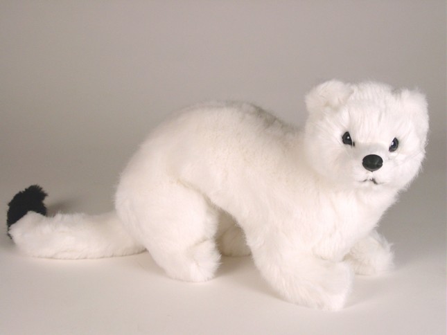 Ermine 2652 by Piutrè 