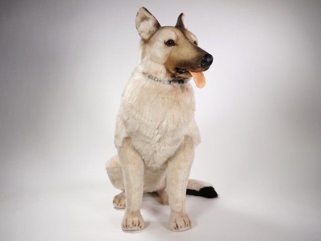 German Shepherd Dog 2222 by Piutrè 