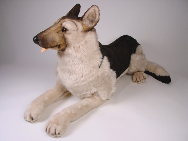 German Shepherd Dog 2223 by Piutrè