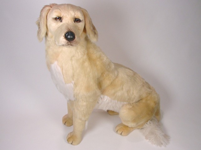 Golden Retriever 2201 by Piutrè