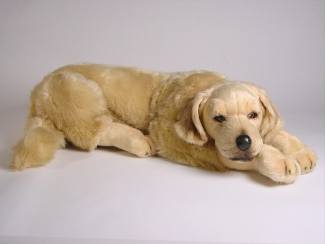 Golden Retriever Puppy 2205 by Piutrè