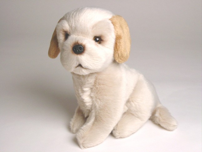 Golden Retriever Puppy (Mascot) 4200 by Piutrè 