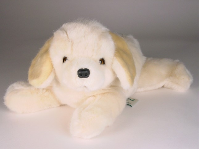 Golden Retriever Puppy (Morbidone) 2611 by Piutrè