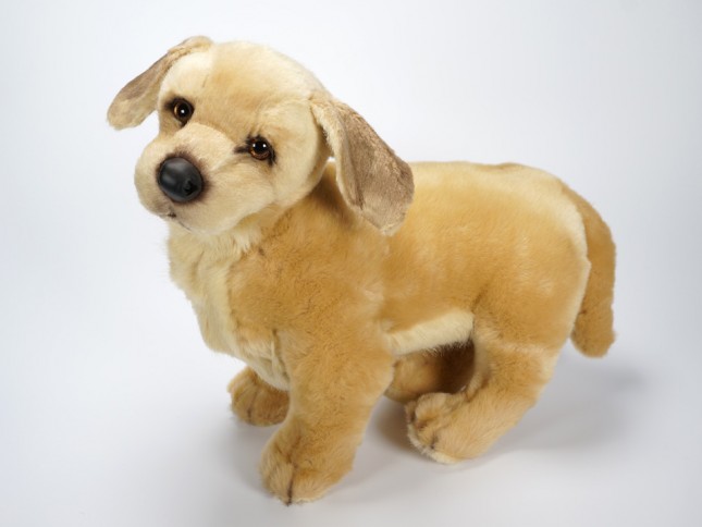 Golden Retriever Puppy 2203 by Piutrè 