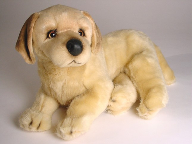 Golden Retriever Puppy 2206 by Piutrè