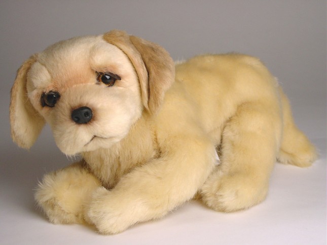 Golden Retriever Puppy 2208 by Piutrè