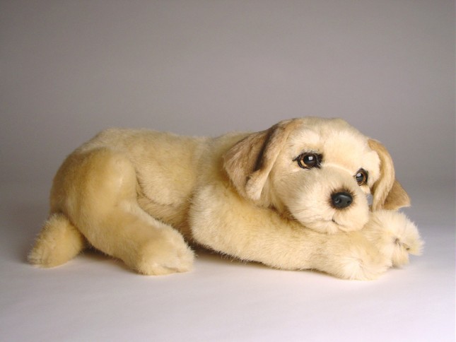 Golden Retriever Puppy 2209 by Piutrè