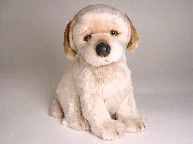 Golden Retriever Puppy 3282 by Piutrè 