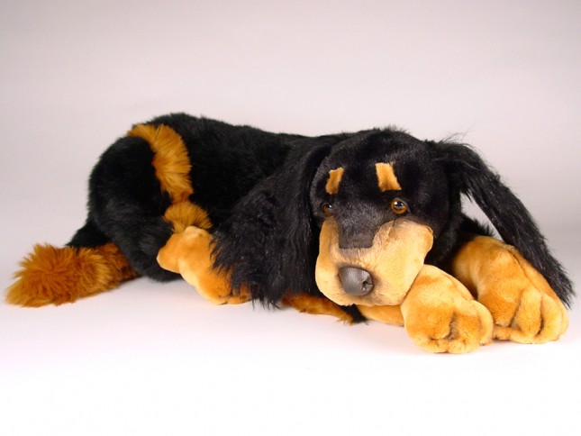 Gordon Setter 3380 by Piutrè 