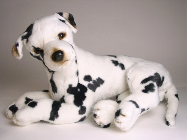 Harlequin Great Dane Puppy 3265 by Piutrè