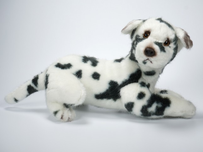 Harlequin Great Dane Puppy 3312 by Piutrè