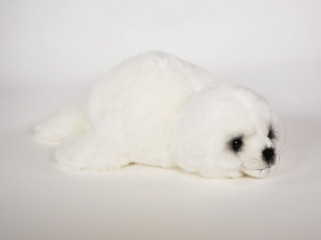 Harp Seal Pup 2541 by Piutrè 