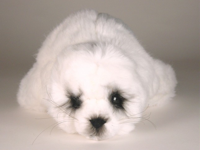 Harp Seal Pup 2542 by Piutrè 