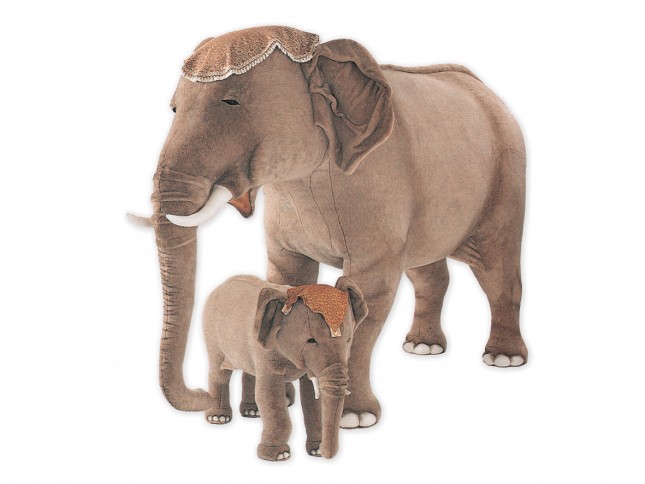 Indian Elephant 2574 by Piutrè