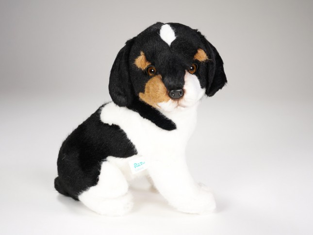 Jack Russell Terrier Puppy 1234 by Piutrè