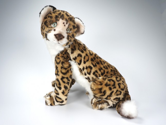 Jaguar Cub 0506 by Piutrè 