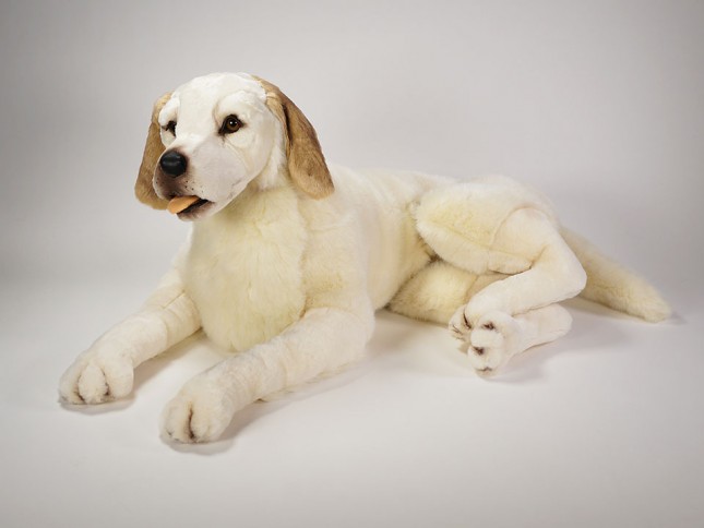 Labrador Retriever 1226 by Piutrè