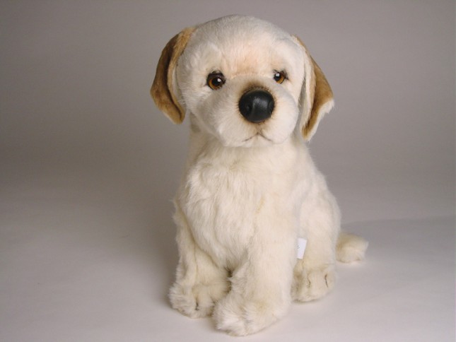 Labrador Retriever Puppy 1203 by Piutrè