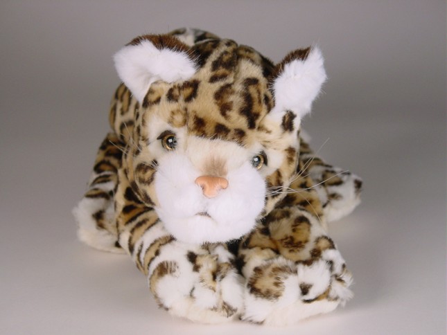 Leopard Cub 0400 by Piutrè