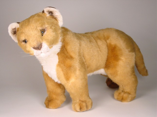 Lion Cub 2504 by Piutrè