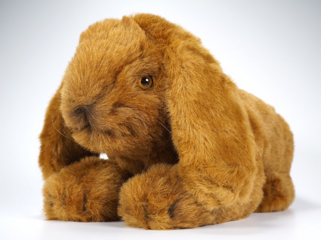 Lop-Eared Rabbit 0634 by Piutrè