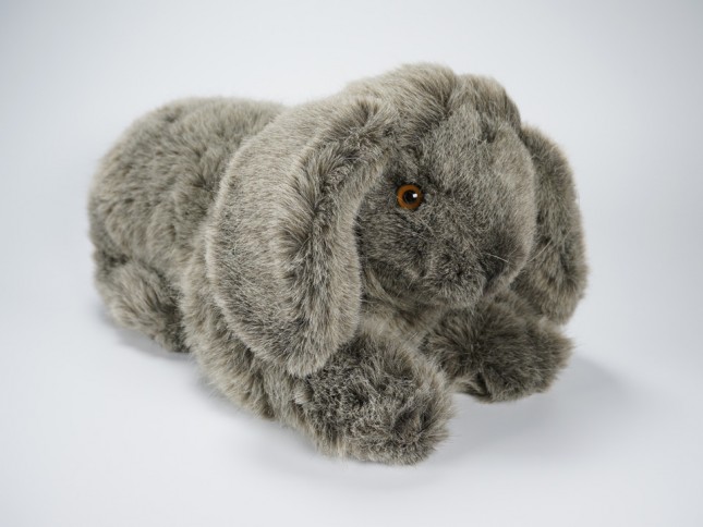 Lop-Eared Rabbit 0635 by Piutrè