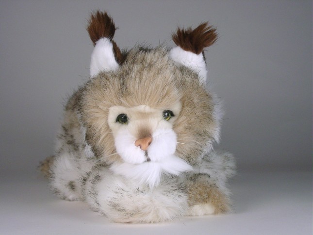 Lynx Cub 0401 by Piutrè