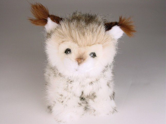 Lynx Cub 0425 by Piutrè