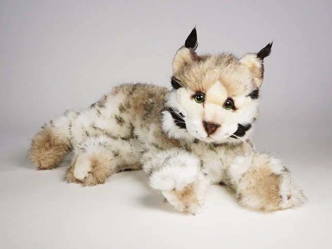 Lynx 2555 by Piutrè