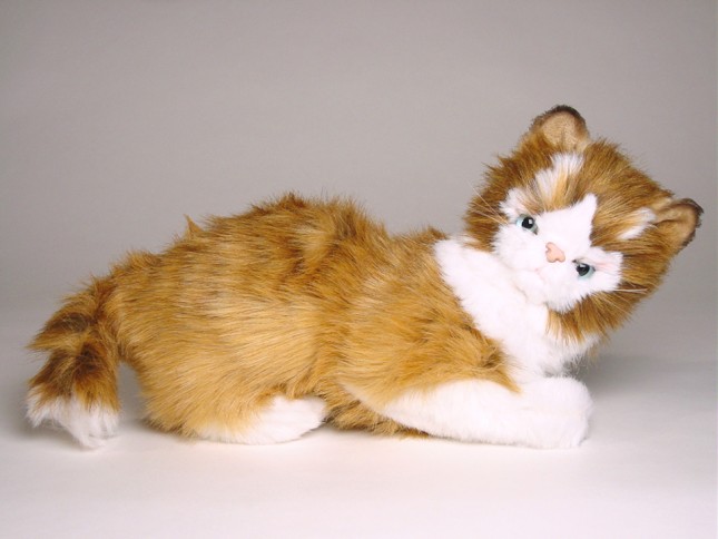 Maine Coon Kitten 2382 by Piutrè 