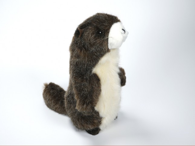 Marmot (Miniature) 4267