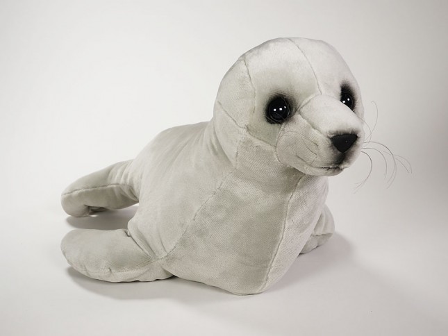 ​Mediterranean Monk Seal 2678 by Piutrè