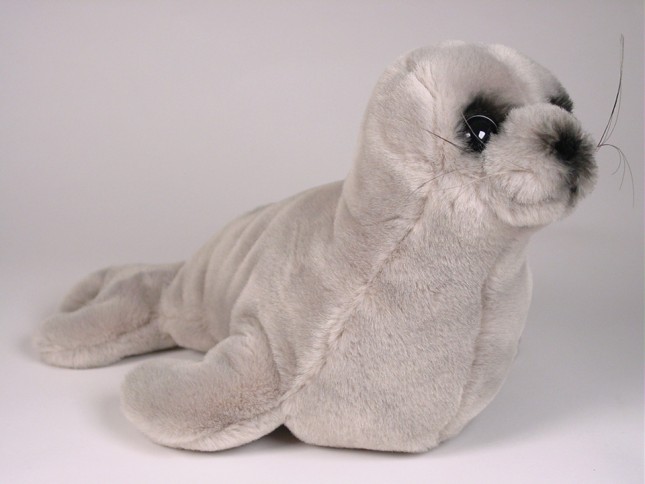 Mediterranean Monk Seal Pup 2676 by Piutrè 