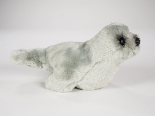 ​Mediterranean Monk Seal Pup 2677 by Piutrè