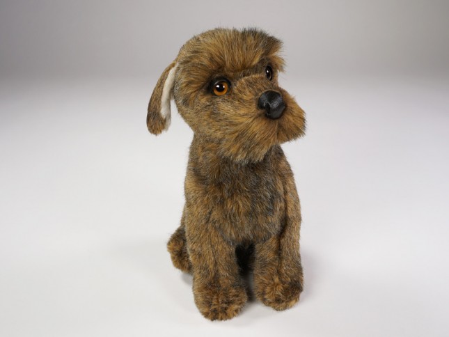 ​Miniature Schnauzer Puppy 3358 by Piutrè