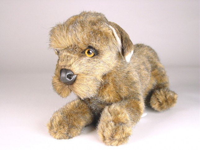 Miniature Schnauzer Puppy 3359 by Piutrè 