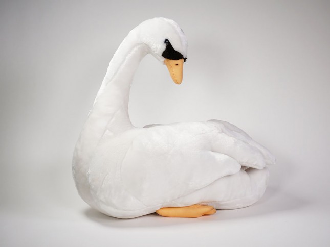 Mute Swan 0730 by Piutrè 