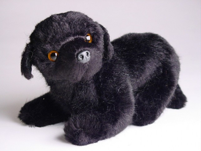 ​Newfoundland (Miniature) 4246 by Piutrè