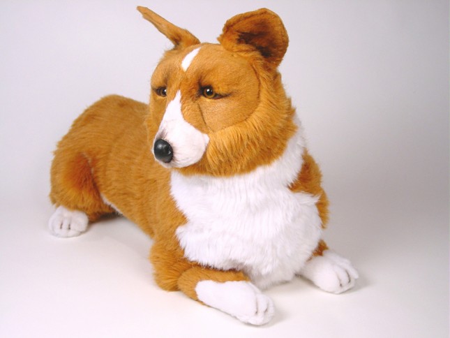 Pembroke Welsh Corgi 1221 by Piutrè