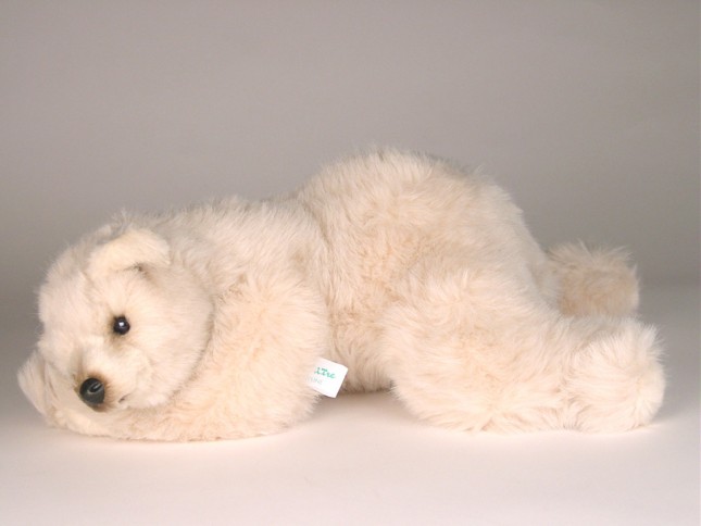 Polar Bear Cub 2123 by Piutrè