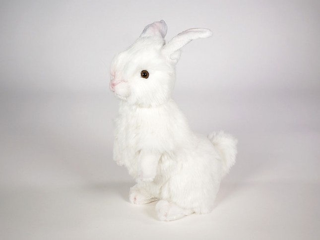 Rabbit 0629 by Piutrè