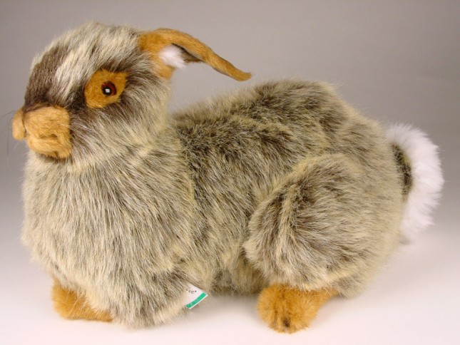 Rabbit 0632 by Piutrè